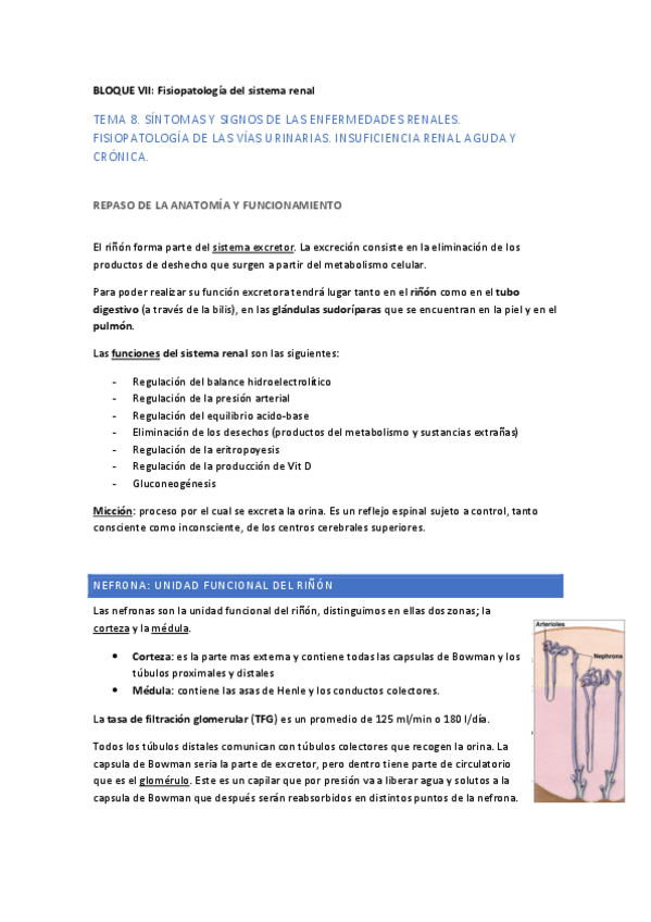 Miniatura del documento fisio-2o-parcial-T8-13.pdf