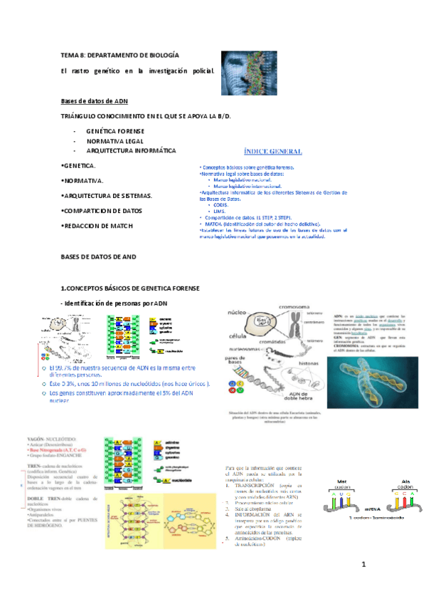 Miniatura del documento TEMA-8-DEPARTAMENTO-DE-BIOLOGIA.pdf