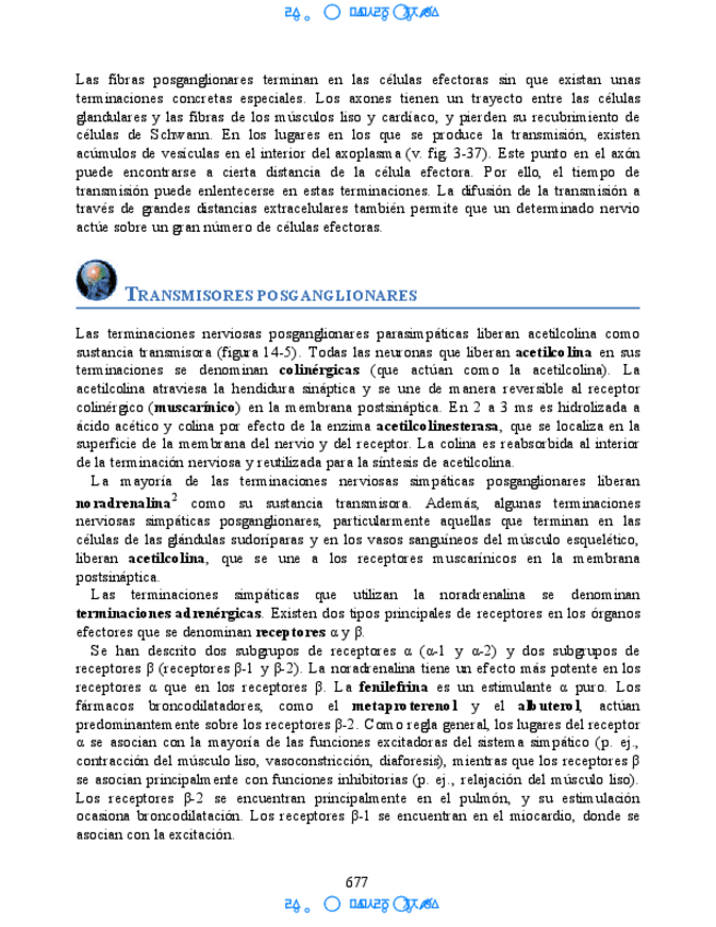 Miniatura del documento Neuroanatomia-Clinica-Snell-7a-Edicionbooksmedicosorg-53.pdf