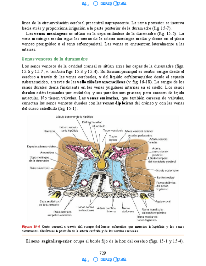 Miniatura del documento Neuroanatomia-Clinica-Snell-7a-Edicionbooksmedicosorg-57.pdf