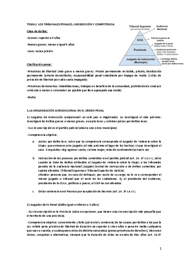 Miniatura del documento TEMA-1-LOS-TRIBUNALES-PENALES-JURISDICCION-Y-COMPETENCIA.pdf