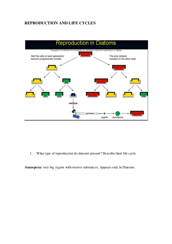 Miniatura del documento Activity.-Reproduction-and-life-cycles.pdf
