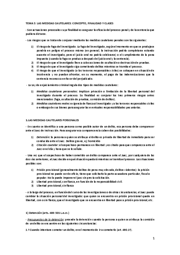 Miniatura del documento TEMA-5-LAS-MEDIDAS-CAUTELARES.pdf