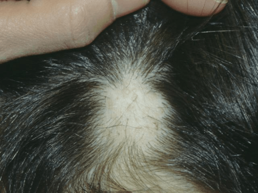 Miniatura del documento Dermatologia-16.pdf