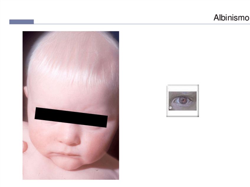 Miniatura del documento Dermatologia-21.pdf