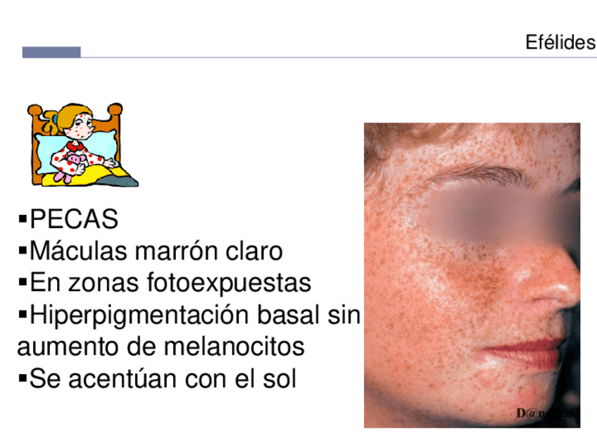 Miniatura del documento Dermatologia-24.pdf