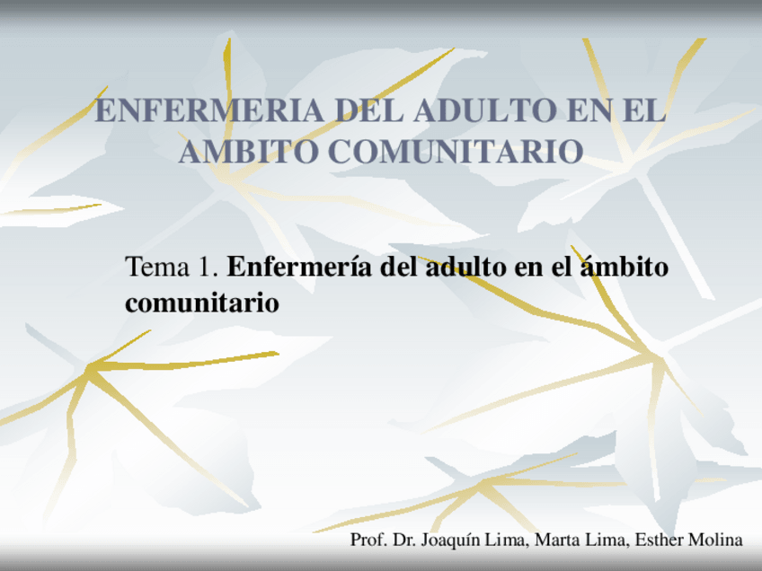 Miniatura del documento Tema 1 Enfermeria del adulto en el ambito comunitario.pdf