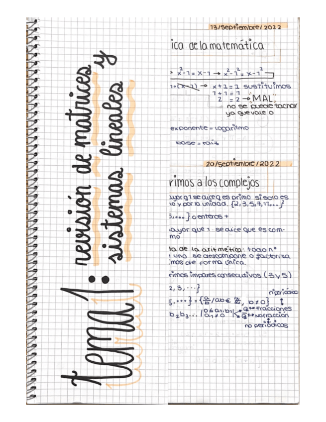 Miniatura del documento TEMA-I--Revision-de-matrices-y-sistemas-lineales-teoria-con-ejercicios.pdf