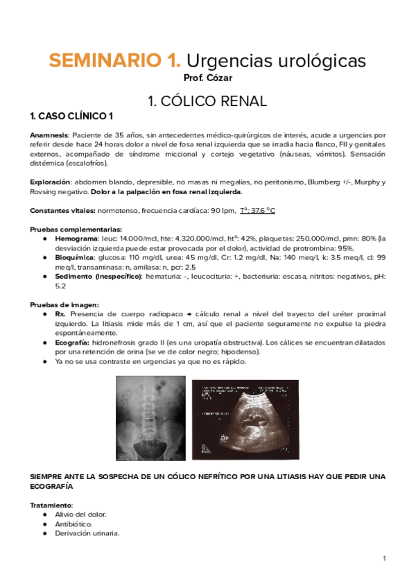Miniatura del documento Lunes-1.pdf