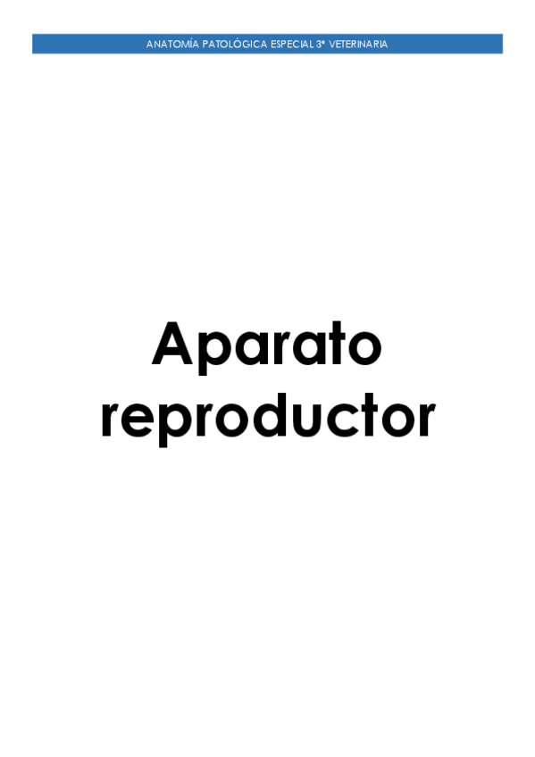 Miniatura del documento Aparato-Reproductor.pdf
