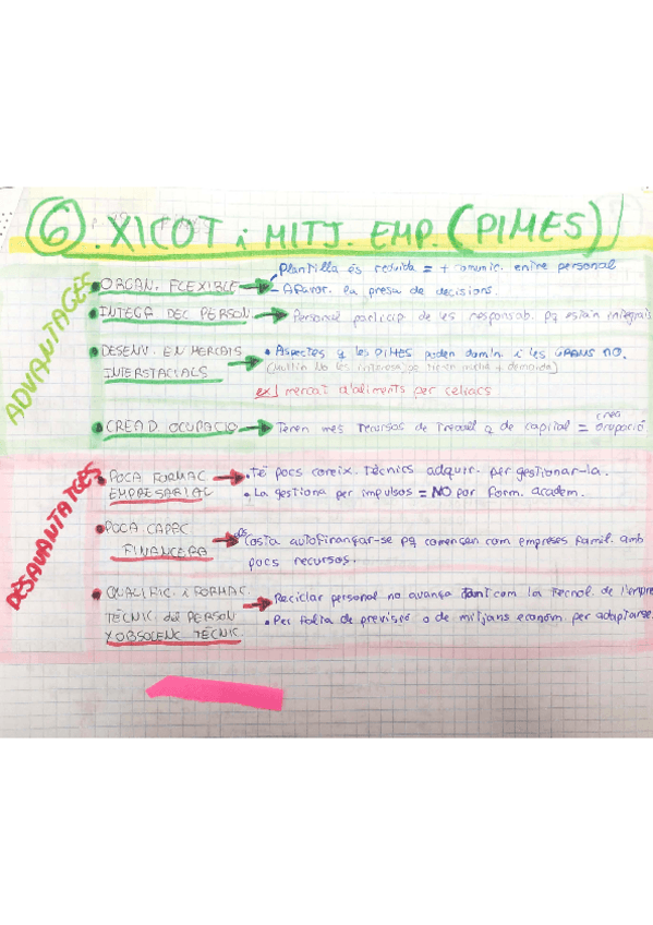 Miniatura del documento 6-PIMES.pdf