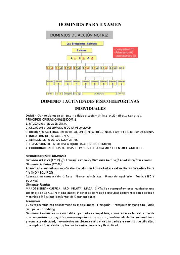 Miniatura del documento DOMINIOS-para-EXAMEN.pdf