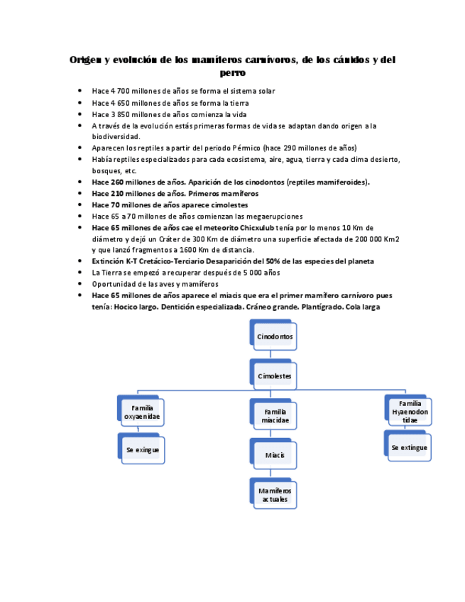 Miniatura del documento Origen-y-evolucion-de-los-perros.pdf
