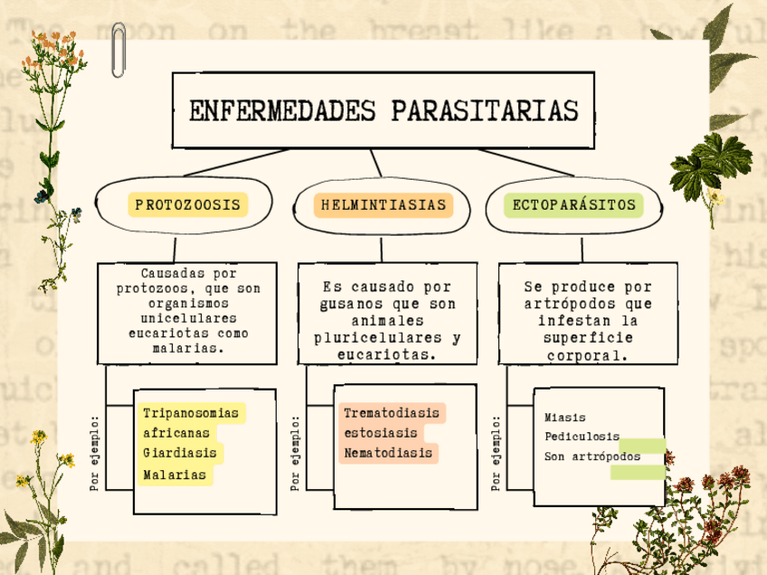 Miniatura del documento Calculo-Basico-Cole.pdf
