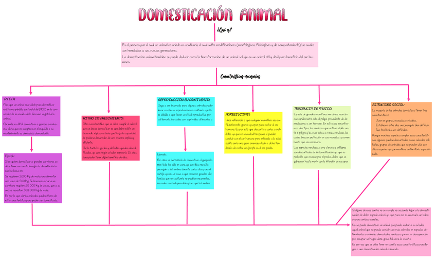 Miniatura del documento mapa-conceptual-de-la-domesticacion-animal-94146-downloable-2530982.pdf
