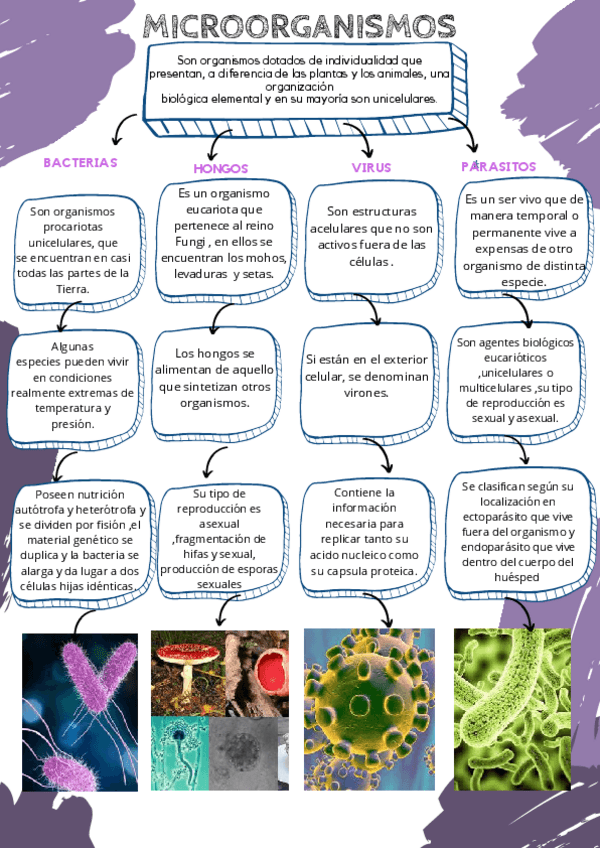 Miniatura del documento microorganismos-193027-downloable-2530982.pdf