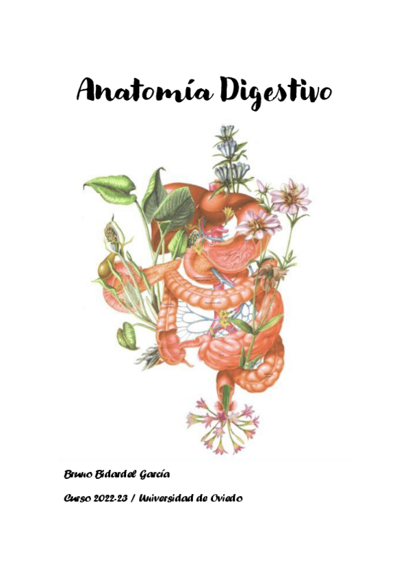 Miniatura del documento Apuntes-Anatomia-Digestivo.pdf