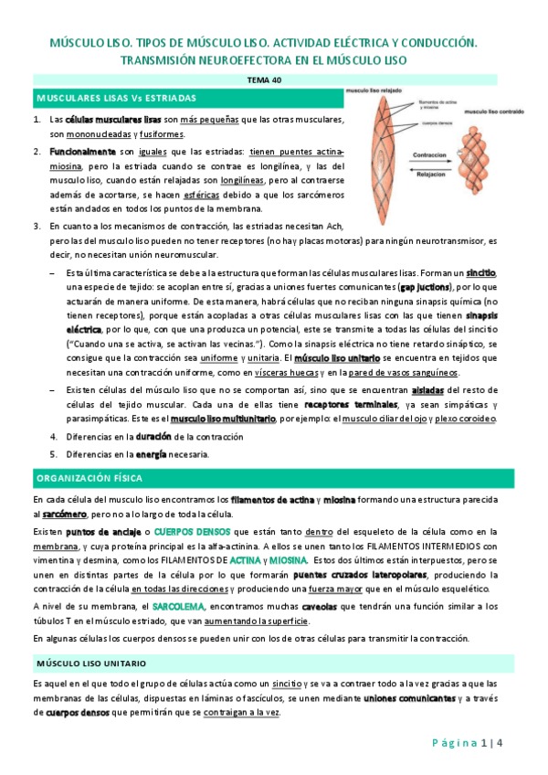 Miniatura del documento Tema-40.pdf