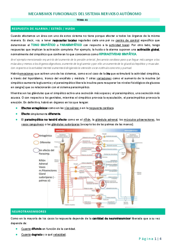 Miniatura del documento Tema-41.pdf