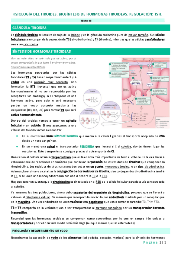 Miniatura del documento Tema-45.pdf
