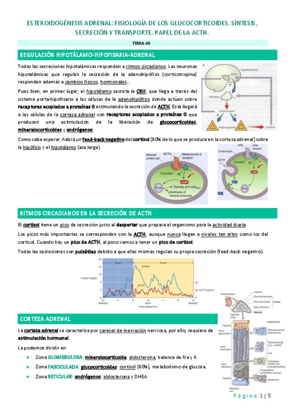 Miniatura del documento Tema-46.pdf