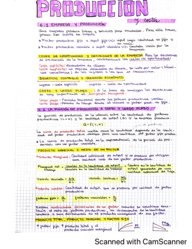 Miniatura del documento TEMA6-PRODUCCION-Y-COSTES.pdf