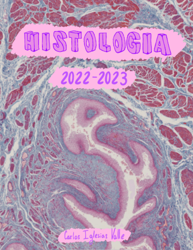 Miniatura del documento Practicas-Histologia-2223-Carlos-Iglesias-Valle.pdf
