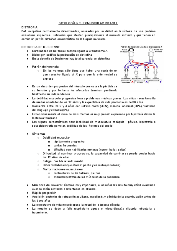 Miniatura del documento PATOLOGIA-NEUROMUSCULAR-INFANTIL.pdf