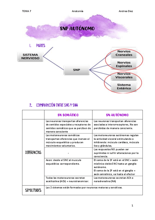 Miniatura del documento TEMA7-SNP-AUTONOMO.pdf