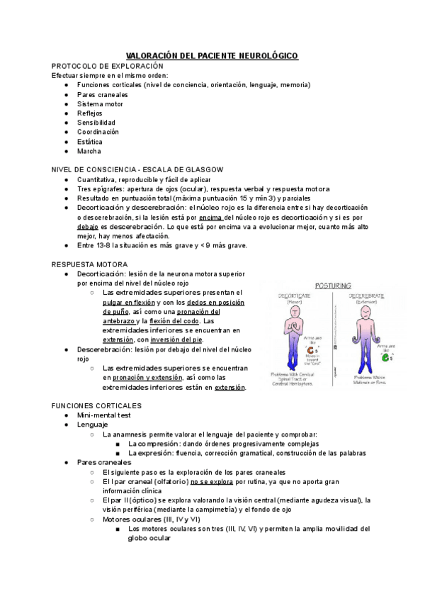 Miniatura del documento VALORACION-DEL-PACIENTE-NEUROLOGICO.pdf