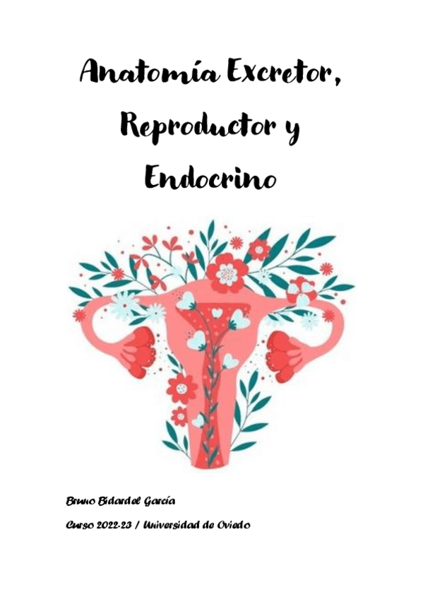 Miniatura del documento Apuntes-Anatomia-ere-2022-23.pdf
