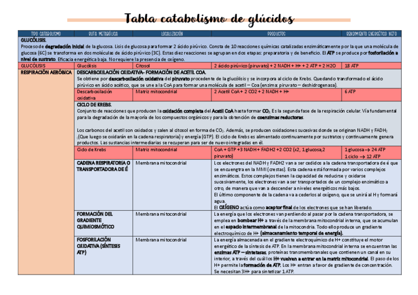 Miniatura del documento Tabla-catabolismo.pdf