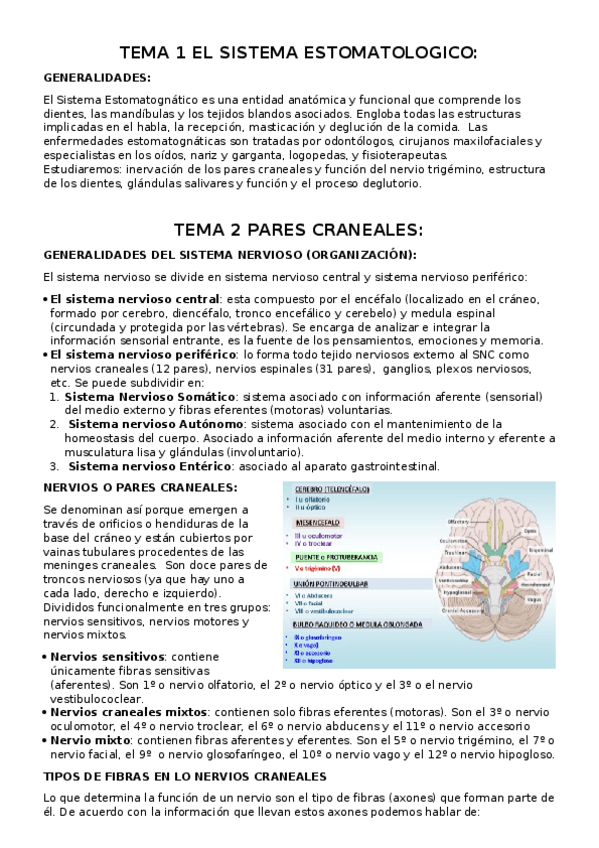 Miniatura del documento TEMA 1 Y 2.docx