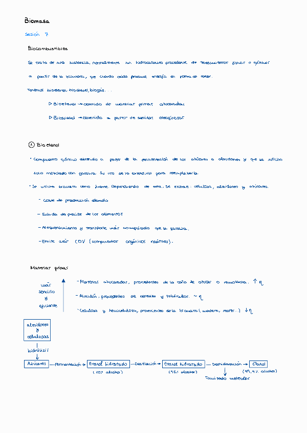 Miniatura del documento Biomasa-sesion-7-ERT.pdf