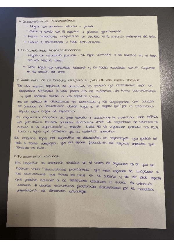 Miniatura del documento Segundo parcial.pdf