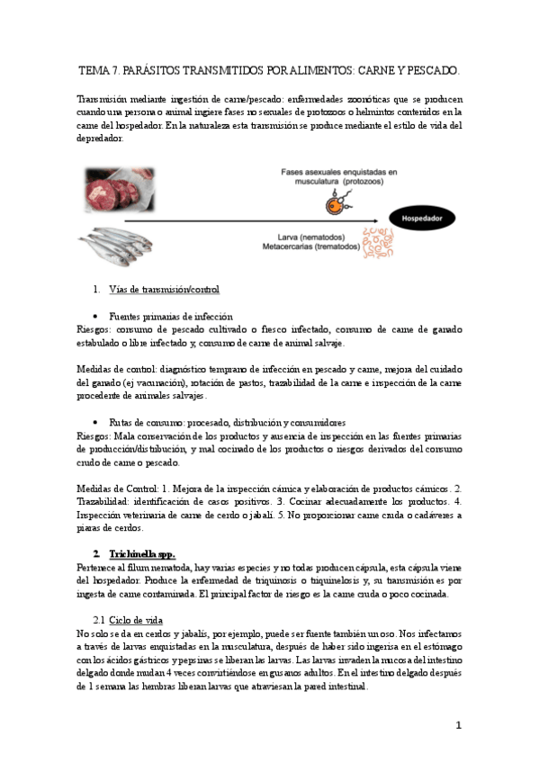 Miniatura del documento Tema7.pdf
