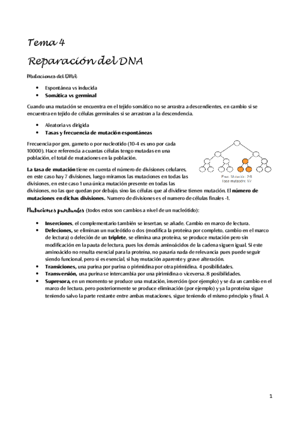 Miniatura del documento Reparacion-del-DNA.pdf