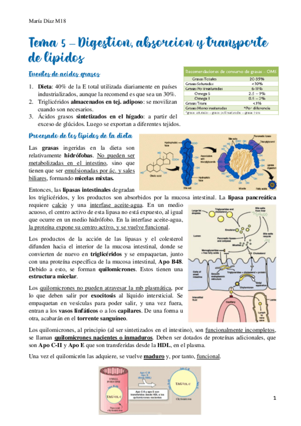 Miniatura del documento t5.pdf