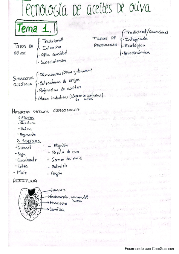 Miniatura del documento Temas-resumidos-y-explicados..pdf