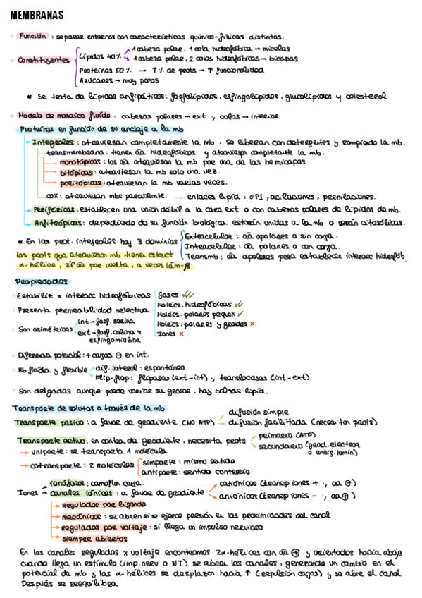 Miniatura del documento Resumen-T10.pdf