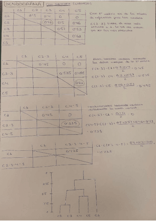 Miniatura del documento Dendograma-paso-a-paso.pdf