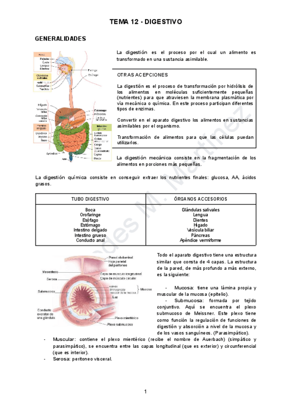 Miniatura del documento TEMA-12-ANATO.pdf