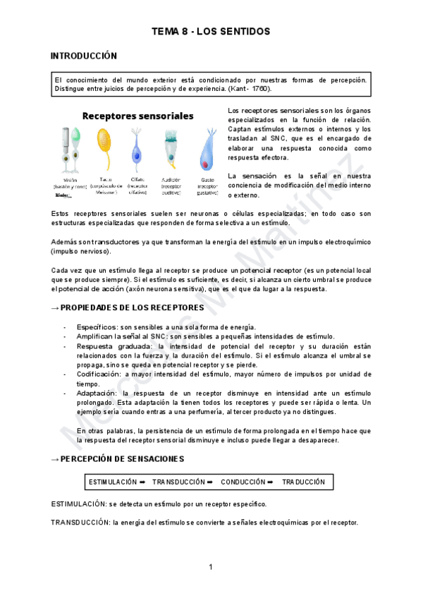 Miniatura del documento TEMA-8-ANATOMIA.pdf
