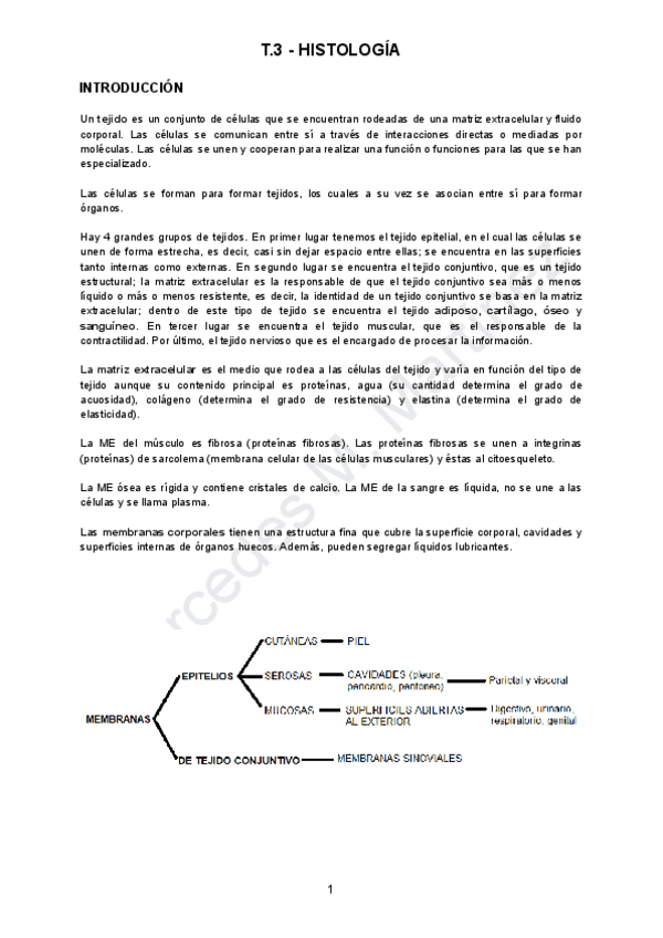 Miniatura del documento TEMA-3-HISTOLOGIA.pdf