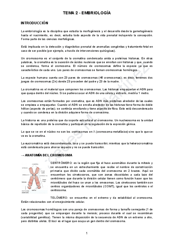 Miniatura del documento TEMA-2-EMBRIOLOGIA.pdf