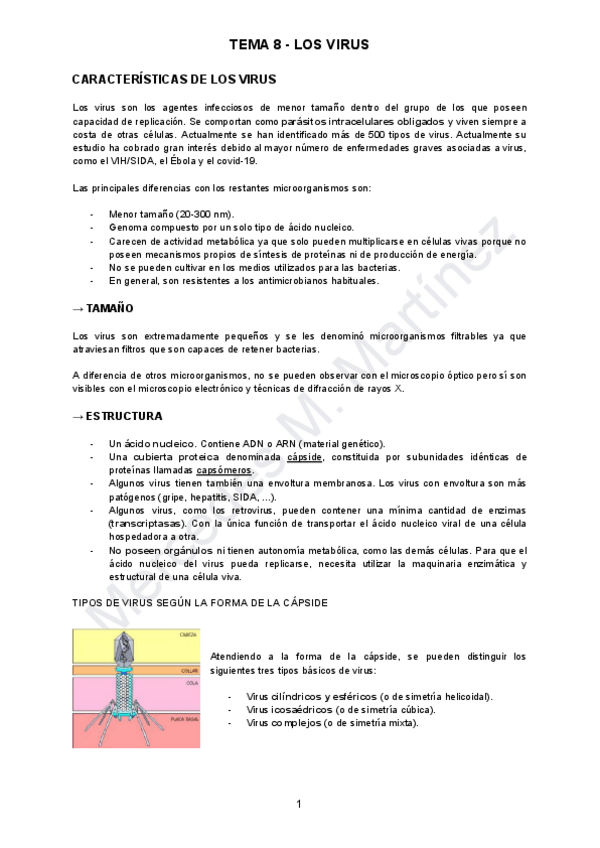 Miniatura del documento TEMA-8.pdf