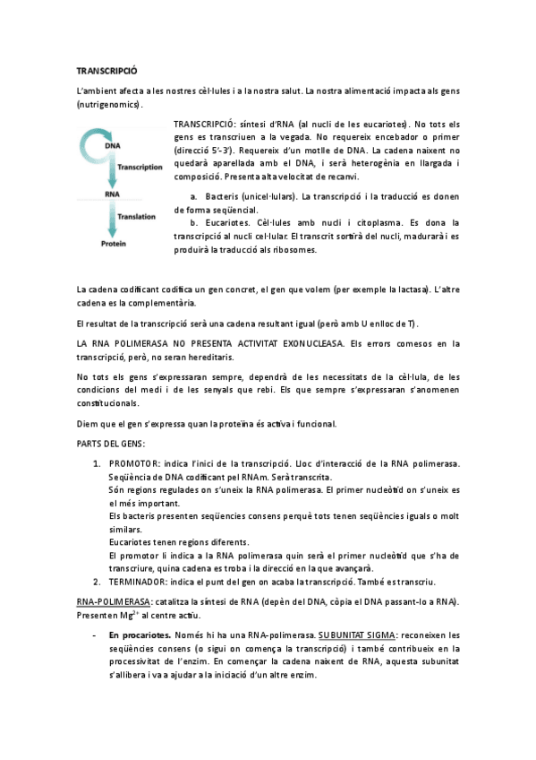 Miniatura del documento TRANSCRIPCIO.pdf