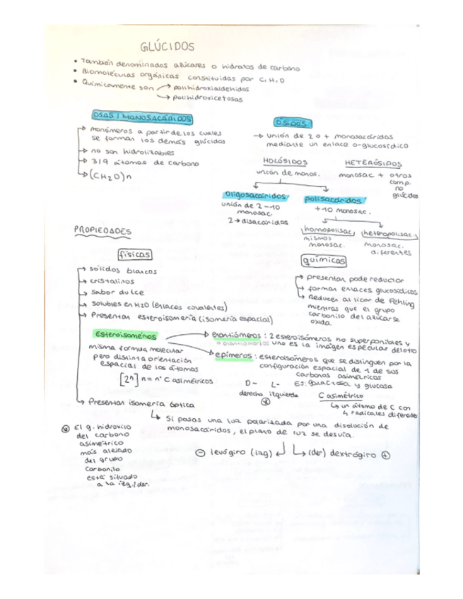 Miniatura del documento Apuntes-glucidos-monosacaridos-disacaridos-y-polisacaridos.pdf