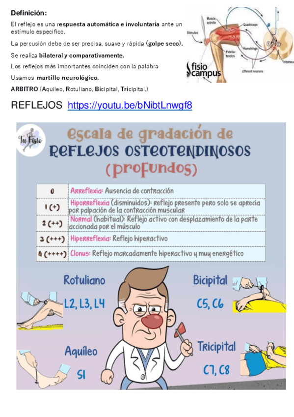 Miniatura del documento Resumen-Seminario-valoracion-reflejos-EPIXTASIS-MQ3.pdf