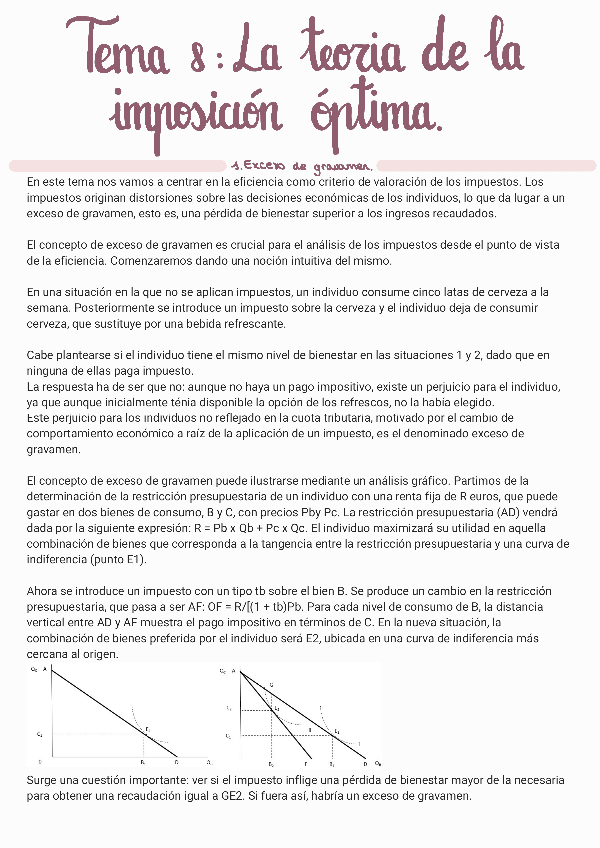 Miniatura del documento Tema-8-resumen.pdf